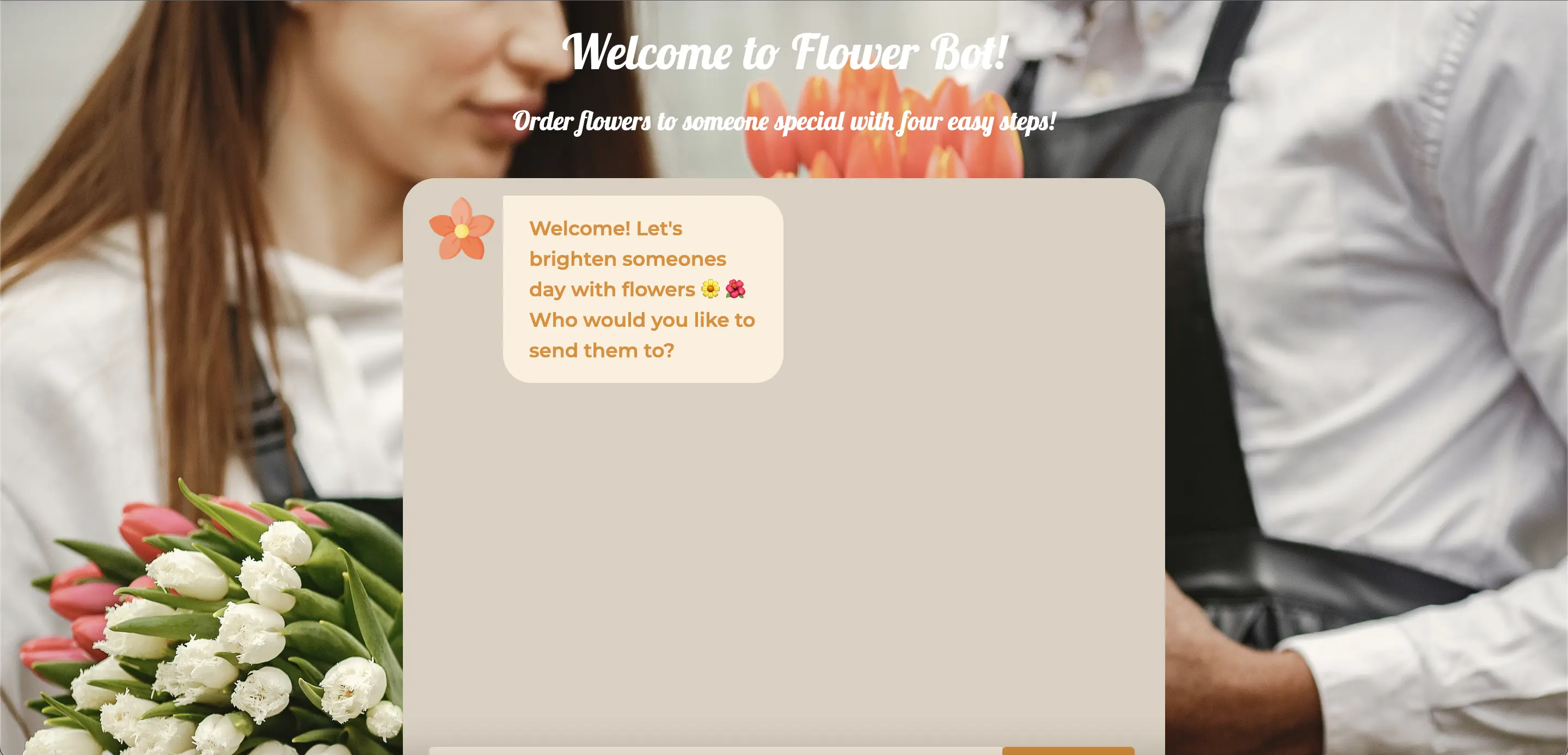 image of project chatbot